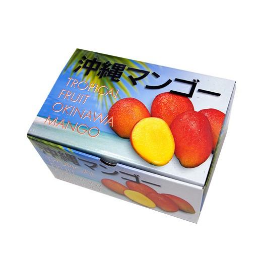 すきとっとよミニマンゴー3キロ すきとっとよミニマンゴー3キロ すきとっとよ様専用ミニマンゴー