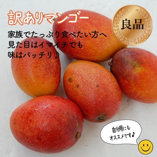 訳ありマンゴー2kg（4〜８玉）　白箱入｜is-farm