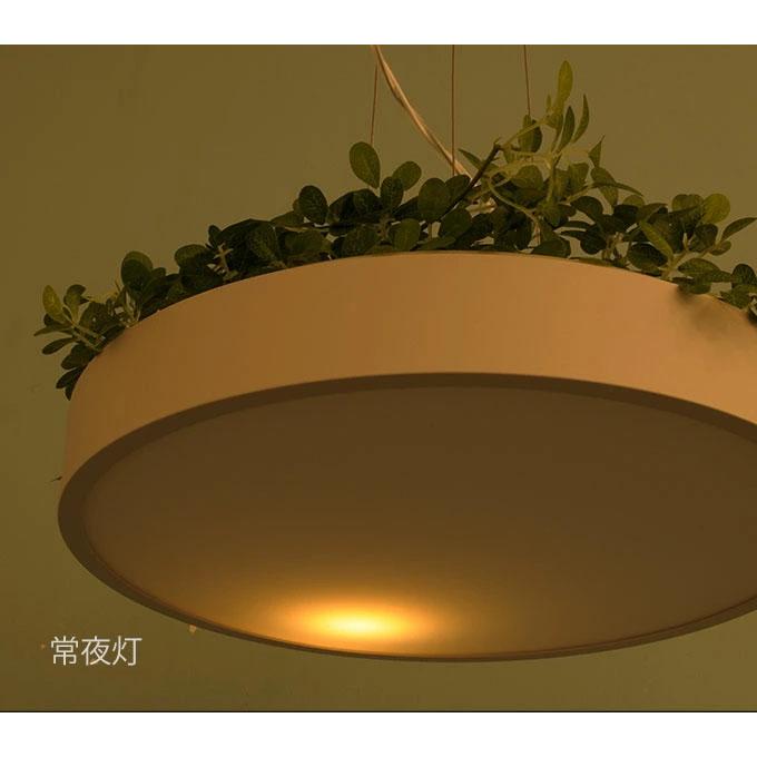 DI CLASSE ペンダントランプ シーリング Giorno leaf ディ DI CLASSE ペンダントランプ シーリング Giorno leaf ディ