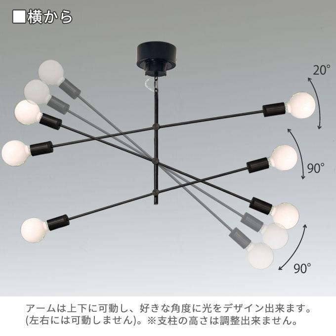 DI CLASSE 照明 6灯ペンダントライト Cardinal pendant lamp