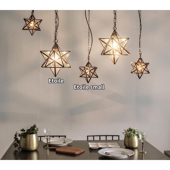 DI CLASSE 照明 星形 1灯ペンダントライト Etoile small pendant