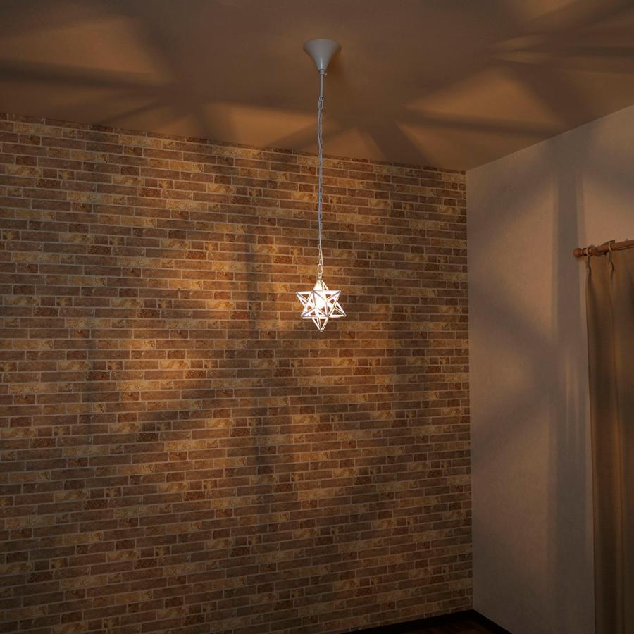 シーリングライト・天井照明 DI CLASSE Etoile pendant lamp DI CLASSE（ディクラッセ） 照明 星形 1灯 ペンダントライト DI CLASSE