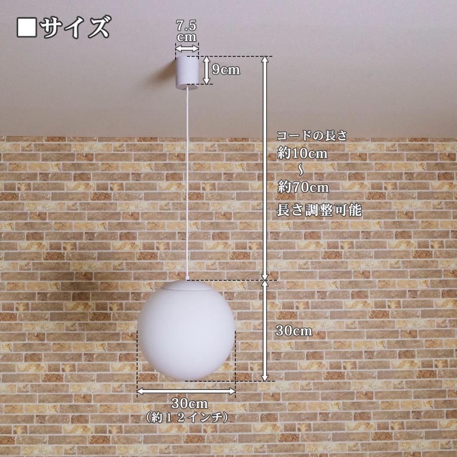 天井照明 1灯 フロスト ガラスペンダントライト 12インチ 直径30cm