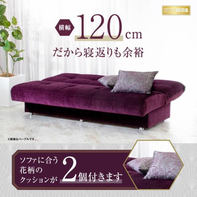 フランスベッド \完売間近/ お部屋の中まで搬入組立無料 フランスベッド \完売間近/ お部屋の中まで搬入組立無料