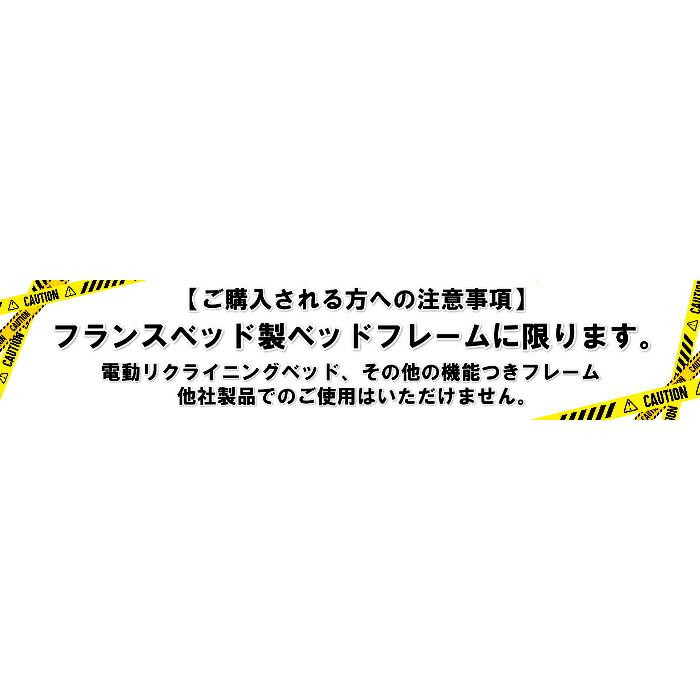 開梱設置無料　フランスベッド 電動リクライニングマットレス ルーパームーブRP-1000W シングル 日本製 ２モーター 防ダニ抗菌  送料無料｜is-plus｜10