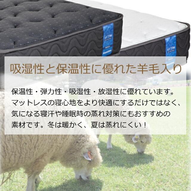 フランスベッド（FRANCEBED） お部屋の中まで無料でお届け セミダブル