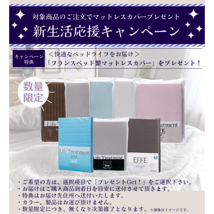 特別価格 2台セット マットセット フランスベッド ベッド シングル 2台 PR70-06C レッグ TW-100α LG シンプル キャビネット 送料無料_1