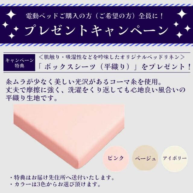 パラマウントベッド - 敷き妙差し上げ物 取りつける無料 虚蝉シングル 電動寝台 はたご屋ひと休み1000 真四角ゲーム盤 ヨーロピアン 1＋1原動機 つや消し付 カルムコア