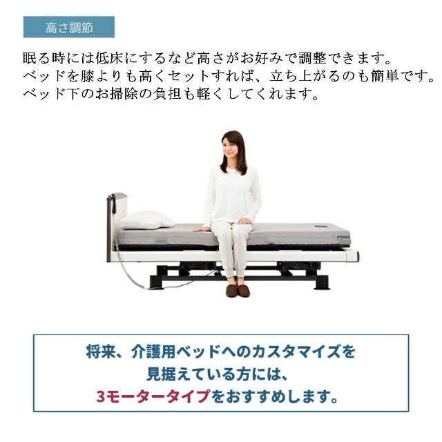 パラマウントベッド - 敷き妙差し上げ物 取りつける無料 虚蝉シングル 電動寝台 はたご屋ひと休み1000 正六面体ゲーム盤 ヨーロピアン 3原動機 つや消し付 カルムライト