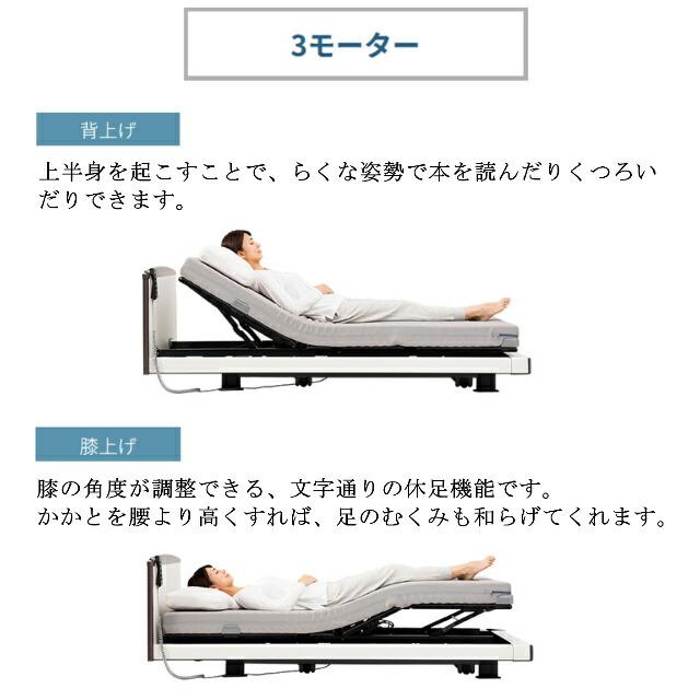 パラマウントベッド - 敷き妙差し上げ物 取りつける無料 虚蝉シングル 電動寝台 はたご屋ひと休み1000 正六面体ゲーム盤 ヨーロピアン 3原動機 つや消し付 カルムライト