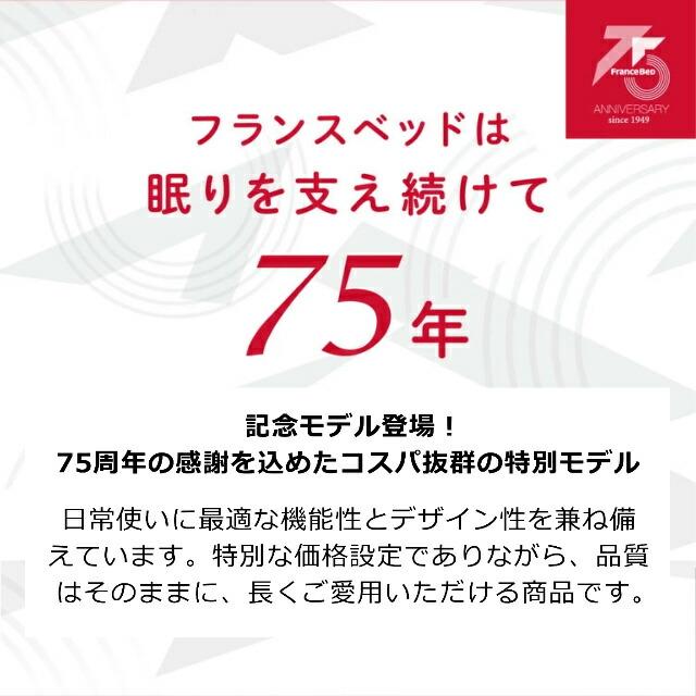 ＼残りわずか／ フランスベッド ベッド フレームのみ HJ-002C LG シングル ベッド シングルサイズ キャビネット コンセント すのこ 脚 レッグ 木製 組立設置無料_4