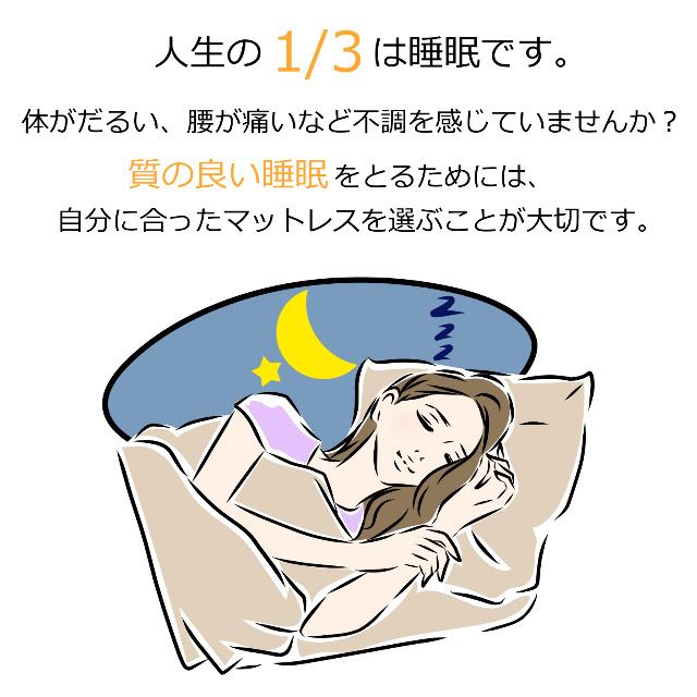 【東京都・神奈川県・千葉県・埼玉県限定】フランスベッド JM-101S シングルサイズ 二段ベッド 超薄型マットレス高密度連続スプリング 送料無料 日本製 | フランスベッド | 05