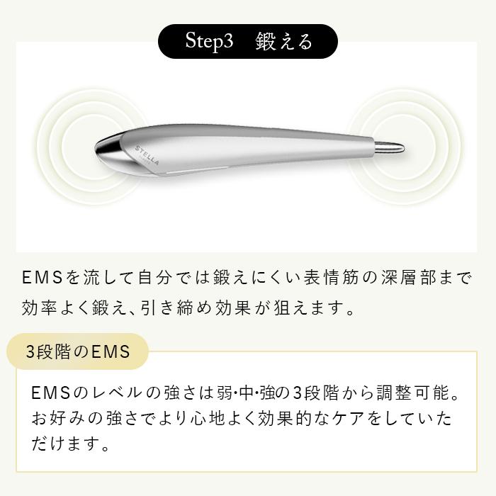 STELLA BEAUTE/ステラボーテ Beauty Face Stick カームナイト STELLA BEAUTE/ステラボーテ Beauty Face Stick カームナイト