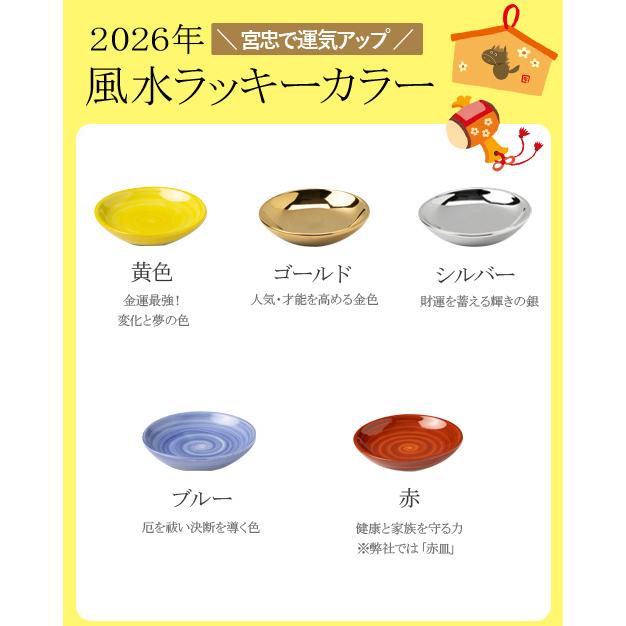 2026年 ラッキー カラー 風水 盛り塩 セット （盛塩 セット） 固め器