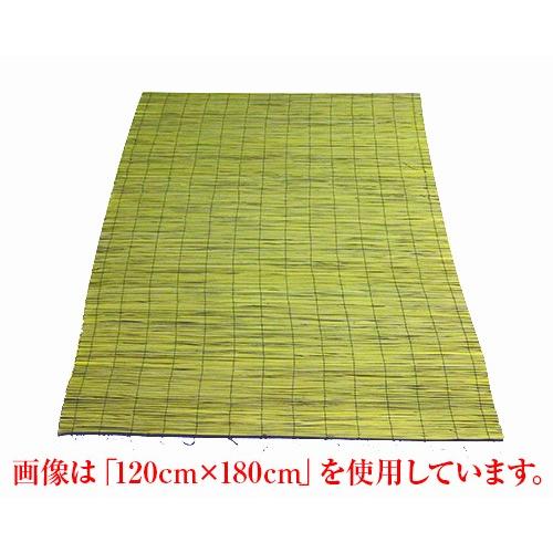 【即日発送】 MTX5BA26OWG [MTX5BA26OWG]