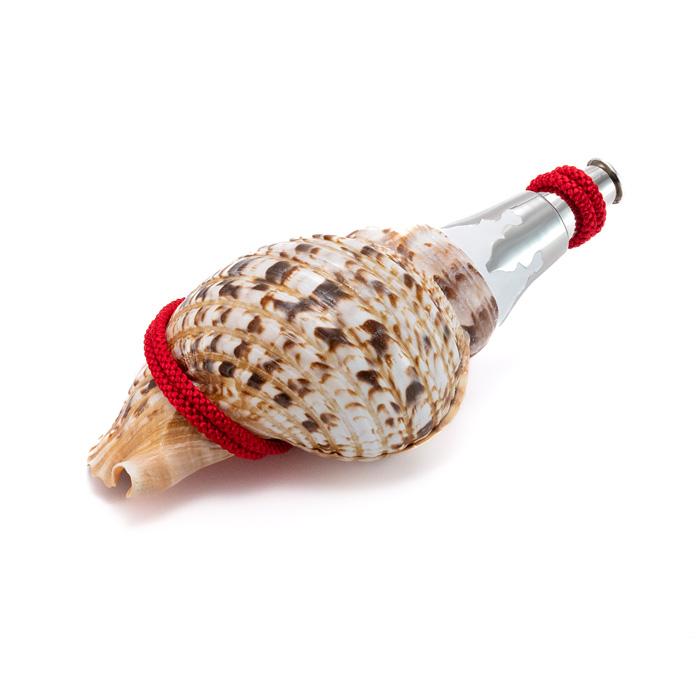 古代桃色法螺貝（ピンク貝）法螺貝　ほら貝　ホラガイ❣️コンク貝笛 Amazon.co.jp: 桃色法螺貝（ピンク貝）法螺貝 ほら貝 ホラガイ