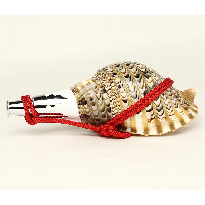 オープニングセール】法螺貝 ほら貝 12インチ No.64 その他冠婚葬祭