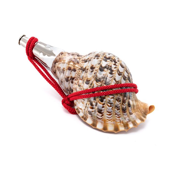 法螺貝 （ほら貝） 13インチ No.110 楽天市場】【 伊勢 宮忠