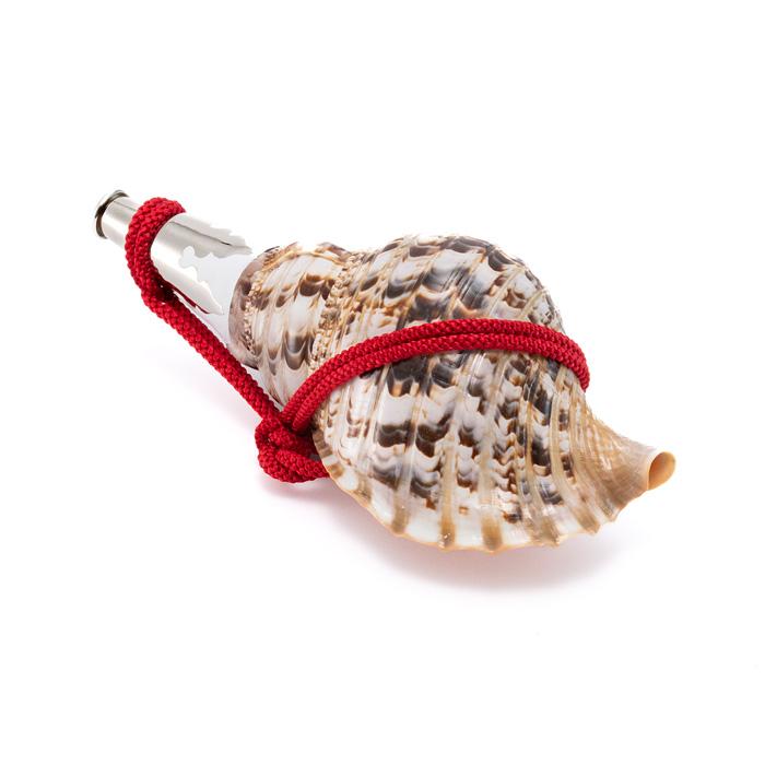 法螺貝 （ほら貝） 13インチ No.111 法螺貝 全長約31.8cm 755g