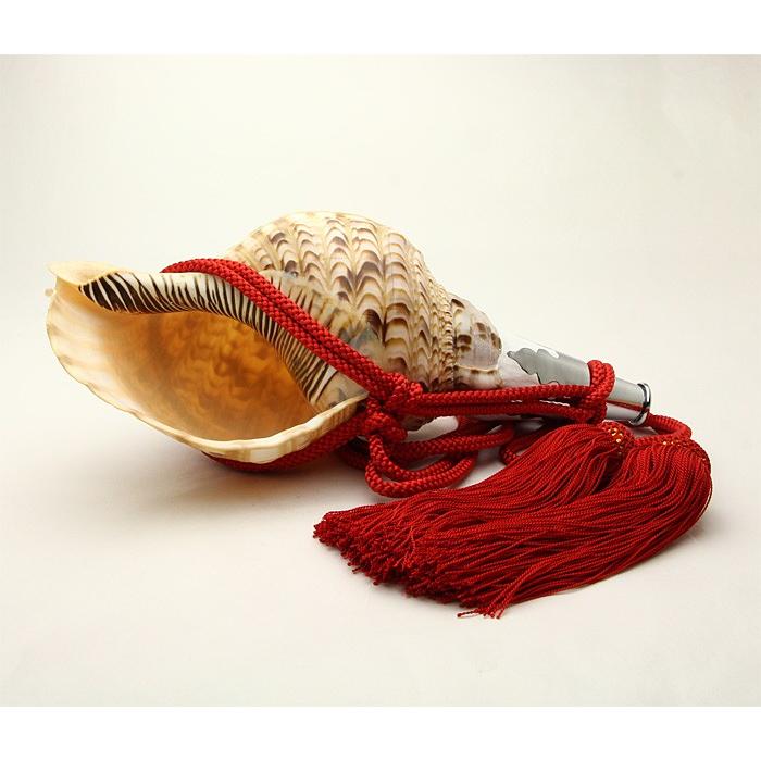 法螺貝 No 48 ほら貝 13インチ ポイント2倍 Www Mohmmadiyon Com