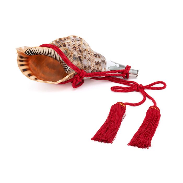 法螺貝　⑥ 法螺貝 ほら貝 14インチ No.73 : 宮忠 - 通販 - Yahoo!ショッピング