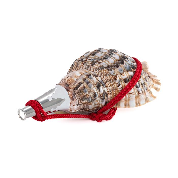 法螺貝　ホラ貝 Amazon.co.jp: 法螺貝 大型 28cm 極 貝 貝殻 ホラガイ ホラ貝