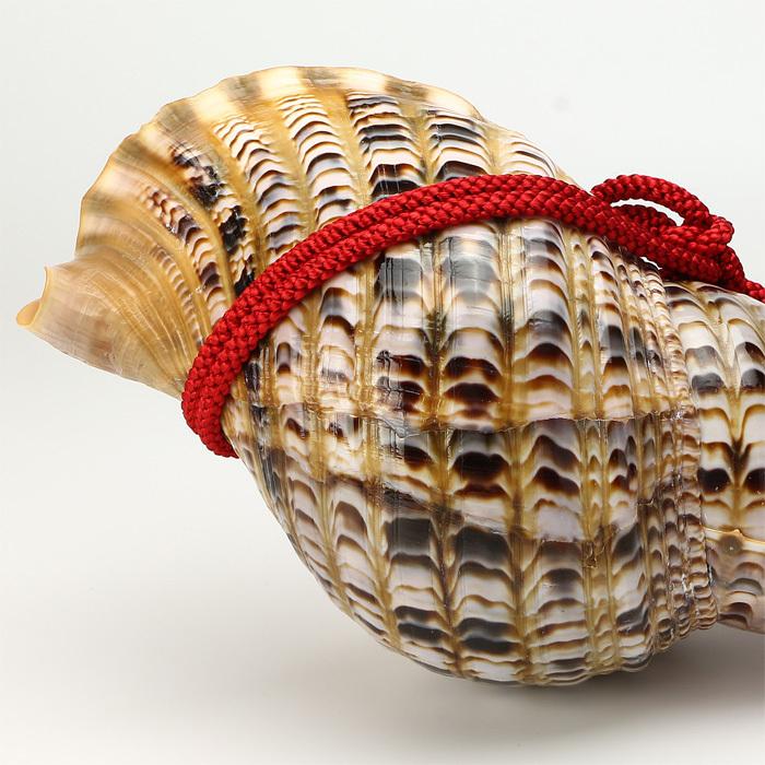 法螺貝　ほら貝　縁起物 法螺貝 ほら貝 縁起物 - メルカリ