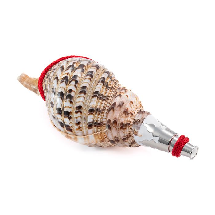 法螺貝ＮＯ−５１Ｓ ホラ貝、和楽器、和太鼓 修験道 法螺貝 ほら貝 15インチ No.51 法螺貝 ホラガイ ほらがい ホラ貝