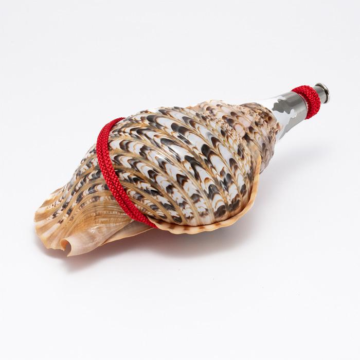 法螺貝 （ほら貝） 大型 No.15 : 宮忠 - 通販 - Yahoo!ショッピング