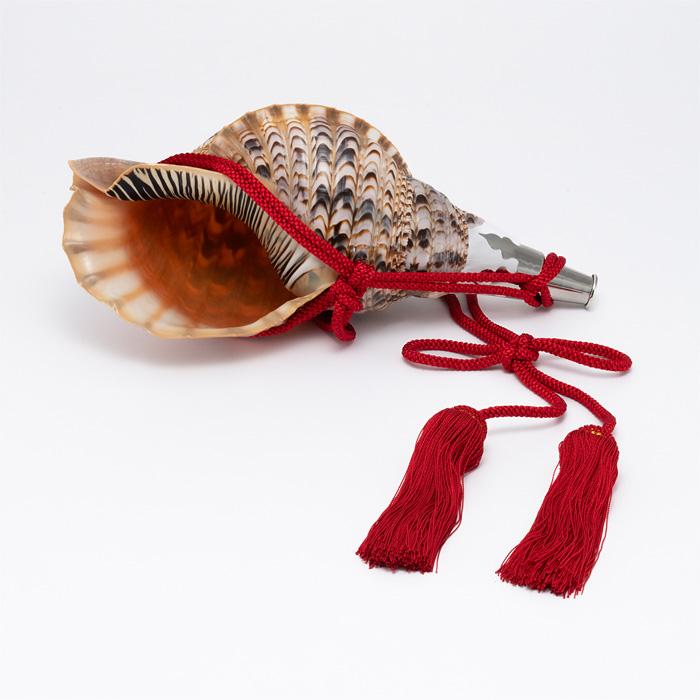 法螺貝①　袋付き 法螺貝 （ほら貝） 大型 No.16 : 宮忠 - 通販 - Yahoo!ショッピング