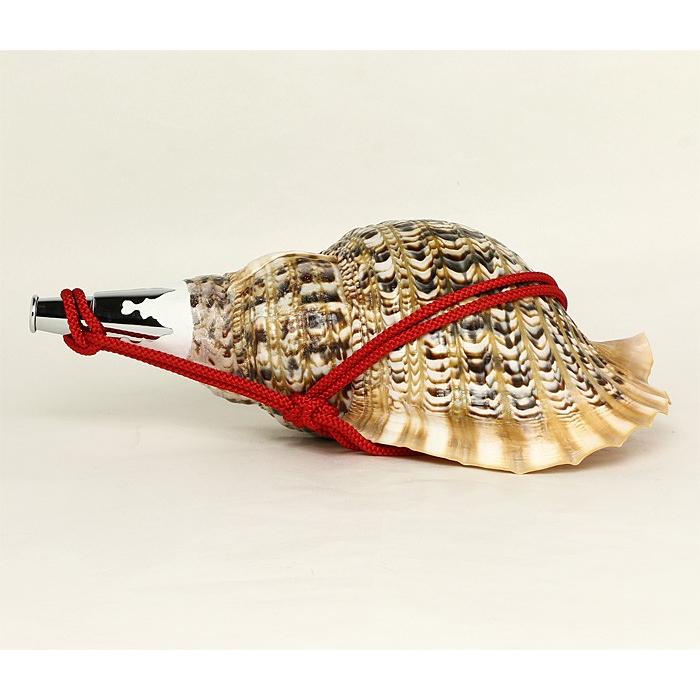 全品最安値に挑戦法螺貝 ほら貝 大型 No.3 その他冠婚葬祭、宗教用品