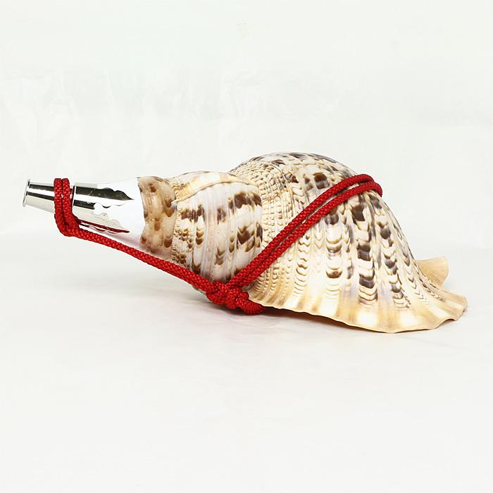 5周年記念イベントが法螺貝 ほら貝 大型 No.5 その他冠婚葬祭、宗教