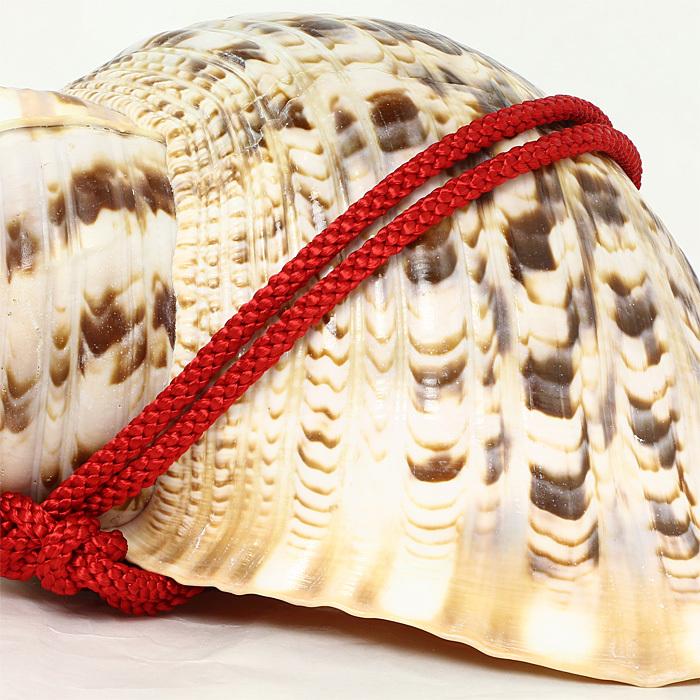 5周年記念イベントが法螺貝 ほら貝 大型 No.5 その他冠婚葬祭、宗教