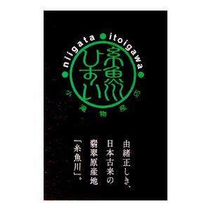 糸魚川翡翠 （いといがわひすい） 古代ネックレス （小滝川産