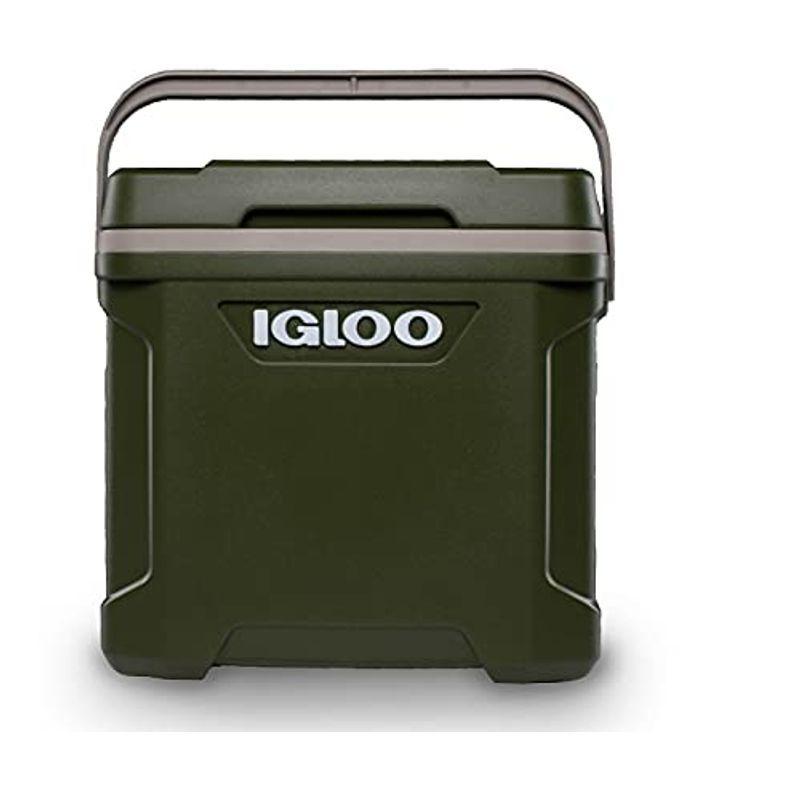 igloo(イグルー) クーラーボックス SPORTSMAN LATITUDE 30 約28L スポーツマン ラティテュード アウトドア キ