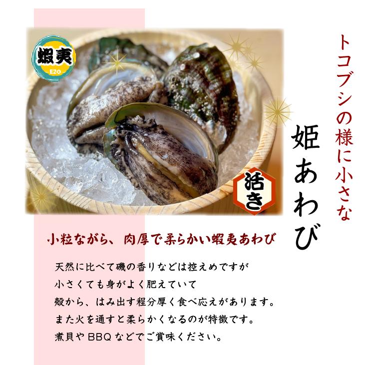 活 姫あわび 20〜30g [あわび]（入数:8〜12枚 300g） : まるか水産