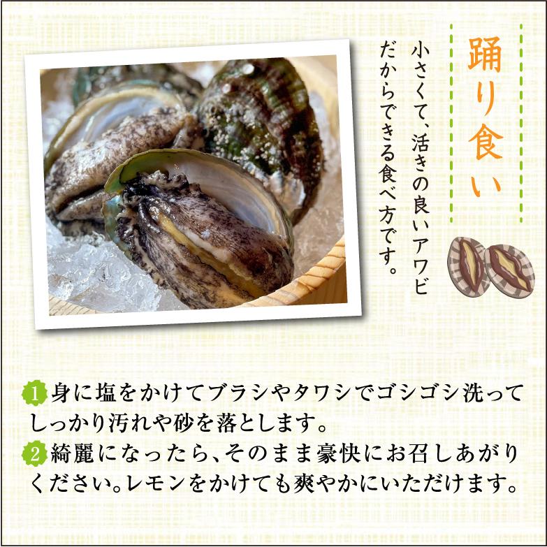活 姫あわび 20〜30g [あわび]（入数:8〜12枚 300g） : まるか水産