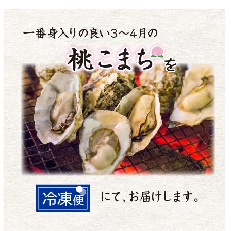 冷凍 殻付牡蠣「桃こまち」加熱用 10個 [牡蠣]｜isemaruka｜03