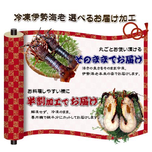 活〆伊勢海老（冷凍加熱用）中大サイズ 280〜330g [冷凍伊勢海老]（入数:5尾★、半割で発送）_2