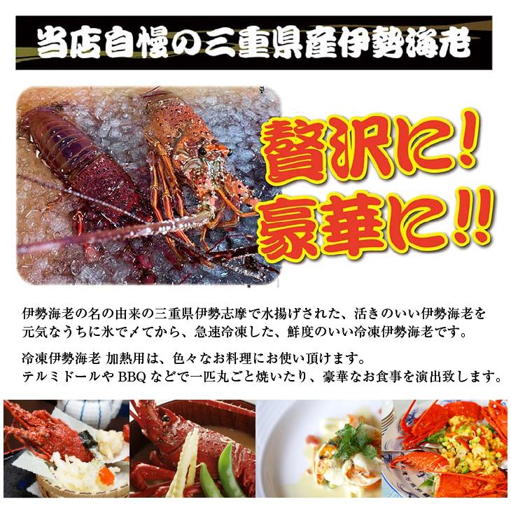 活〆伊勢海老（冷凍加熱用）中大サイズ 280〜330g [冷凍伊勢海老]（入数:5尾★、半割で発送）_3