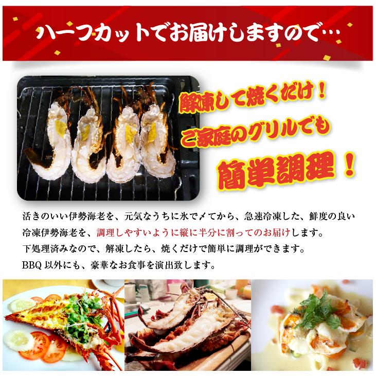 BBQ用 冷凍伊勢海老 160〜200g Sサイズ ハーフカット [活〆伊勢 BBQ用 冷凍伊勢海老 160〜200g Sサイズ ハーフカット [活〆伊勢