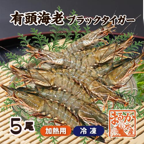 □冷凍 有頭ブラックタイガー[冷凍海老]（入数：5尾） : まるか水産