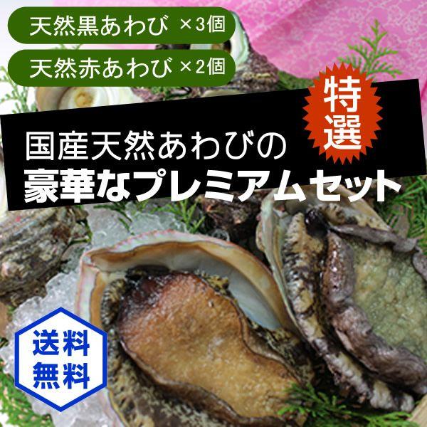 日本全国送料無料 豪華な天然あわびのセット 黒あわび 3 赤あわび 2 あわび 驚きの値段 Zoetalentsolutions Com