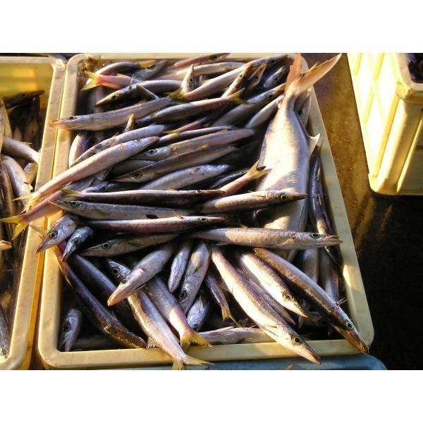 伊勢志摩名産 さめたれ 入り干物セット5種類 干物 アジ塩5アジみりん5カマス3秋刀魚2さめたれ0 Himono 9 4000 まるか水産yahoo 店 通販 Yahoo ショッピング