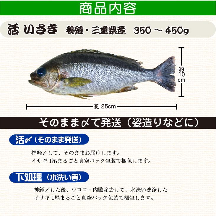 usagin様　予約分 魚沼 usagin様 予約分 魚沼 usagin様 予約分 魚沼 魚野川桜づつみ | 魚沼