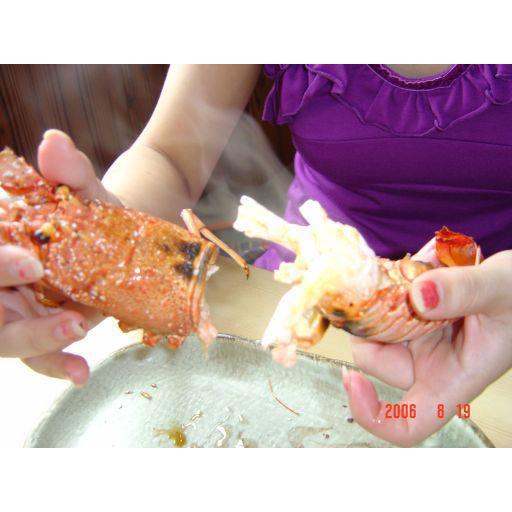 活きてます ほんのちょっと 訳有 活伊勢海老 1尾 活伊勢海老 安い 約330ｇ 380g