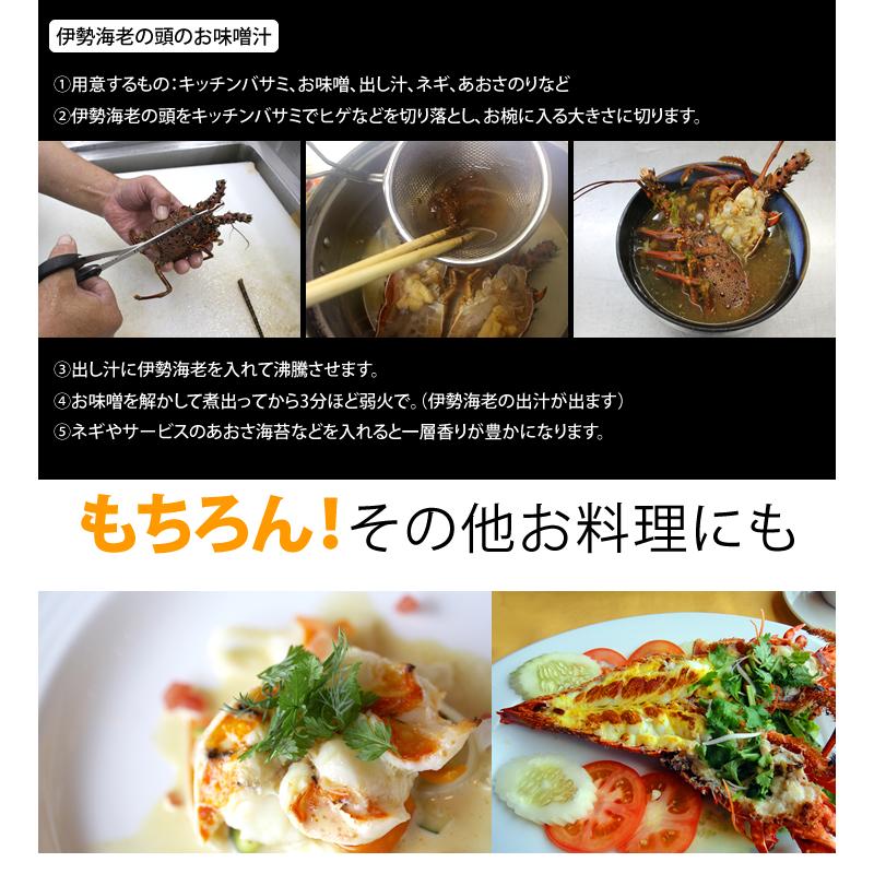 刺身用伊勢海老 凍眠冷凍 大きめサイズ 3尾入 1.0kg ★[刺身用伊勢海老]_6