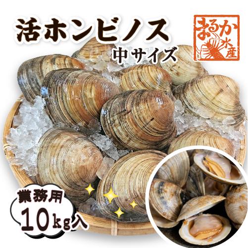 活 ホンビノス貝 中サイズ（8〜12個）（入数:業務用10kg入☆[貝類