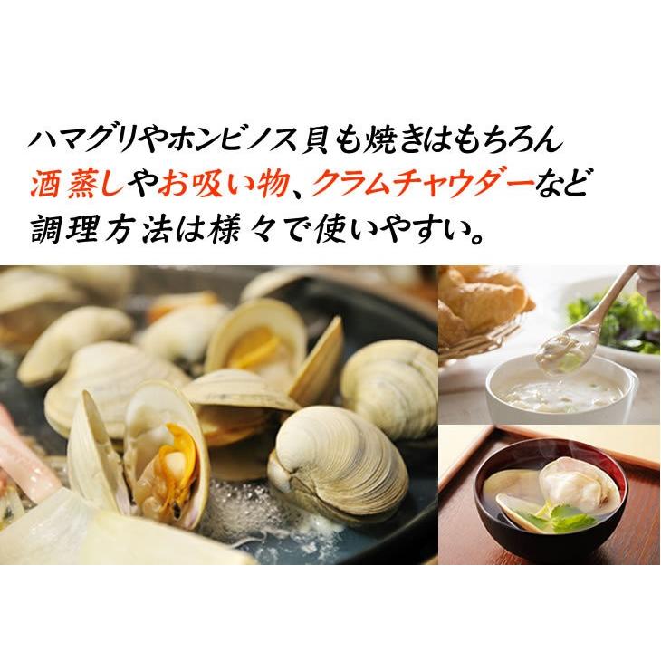 活貝３点セット ハマグリ80ｇ５個 サザエ100ｇ５個 ホンビノス130ｇ５個 貝セット Kaiset 1 まるか水産yahoo 店 通販 Yahoo ショッピング