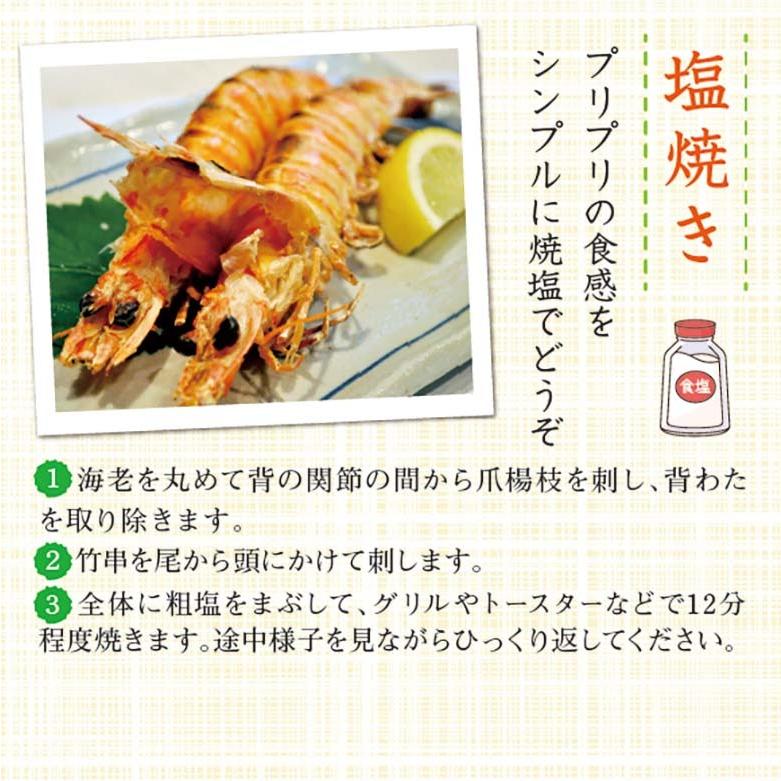 刺身用車海老 凍眠 10尾 250ｇ 冷凍車海老 Kuruma 25 4 まるか水産yahoo 店 通販 Yahoo ショッピング